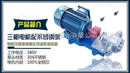 KCB-200齿轮泵_汽油泵_柴油泵_会泉泵业