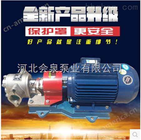 2CY-38/0.28齿轮泵_汽油泵_柴油泵_会泉泵业