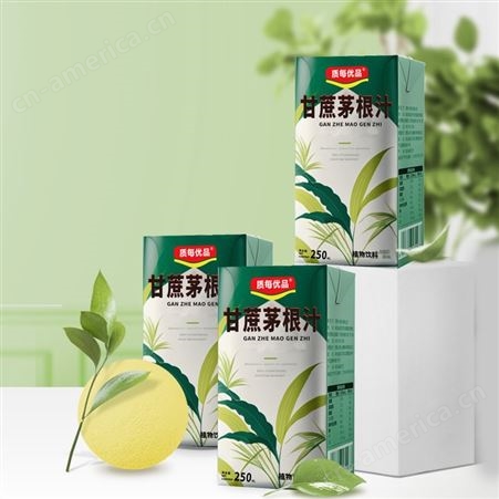 甘蔗茅根汁饮料oem贴牌代加工 植物果蔬茶系列饮品定制